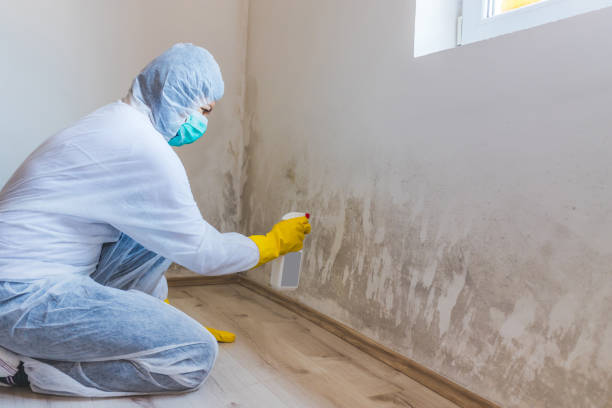 Licensed Commercial Mold Remediation service in Goldsboro, NC - WQB Mold Removal