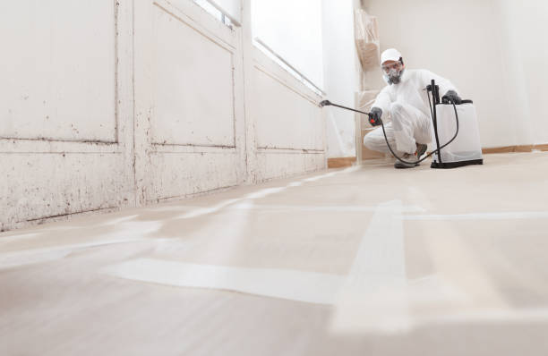 24/7 Emergency Commercial Mold Remediation experts in Goldsboro, NC