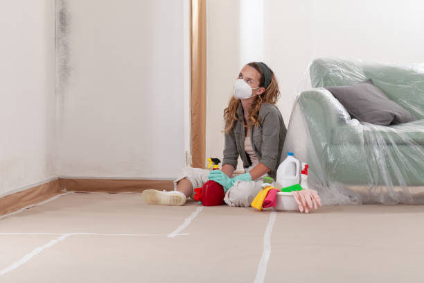 Reliable Commercial Mold Remediation contractor in Goldsboro, NC by WQB Mold Removal
