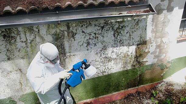 Top rated local Commercial Mold Remediation specialists in Goldsboro, NC